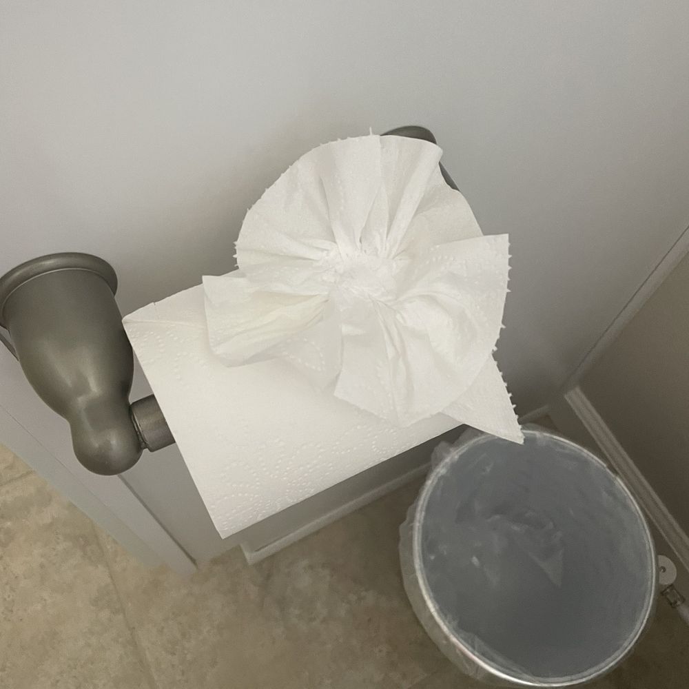 Fresh Start Cleaning - The flower in my toilet paper - Home Cleaning Near Me - Sparks, Nevada Fresh Start Cleaning - The flower in my toilet paper - Home Cleaning Near Me - Sparks, Nevada