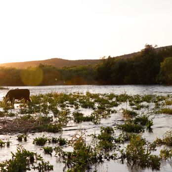 Buzzed Up Adventures - Rafting/Kayaking Near Me