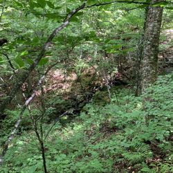 Parc éco Laurentides CTEL
