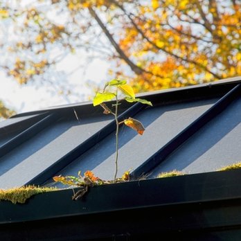 Pine State Seamless Gutters - We will even replant your trees! Call today for free gutter cleaning estimate! - Gutter Services Near Me
