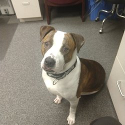Heartland Animal Hospital
