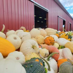 Gaver Farm