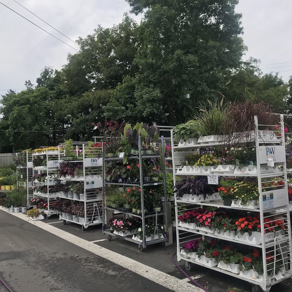 Friends' Marketplace -  variety of plants and flowers - Grocery Near Me - Orleans, Massachusetts