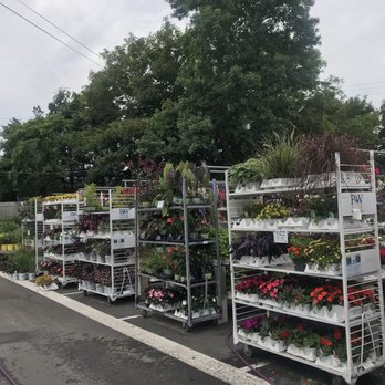 Friends' Marketplace - variety of plants and flowers - Grocery Near Me - Orleans, Massachusetts Friends' Marketplace - variety of plants and flowers - Grocery Near Me - Orleans, Massachusetts