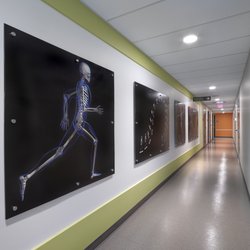 MIC Medical Imaging