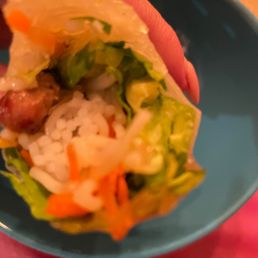 Crispy Spring Rolls