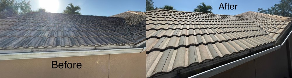 Slide of Spic N Span