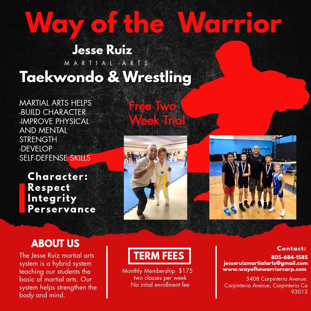 Way of the Warrior  Logo
