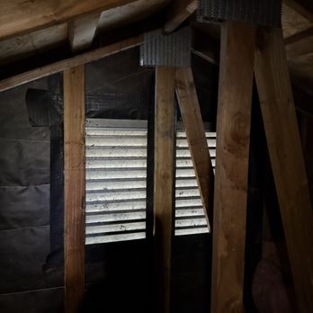 Broad Vision Construction - Vines are completely removed and sealed were entered - Handyman Near Me