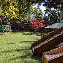 Hearts & Minds Preschool - Our upper yard has plenty of room to roam and explore!