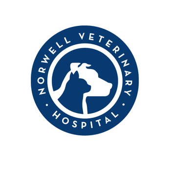 Norwell Veterinary Hospital - Veterinarians Near Me - Norwell, Massachusetts Norwell Veterinary Hospital - Veterinarians Near Me - Norwell, Massachusetts
