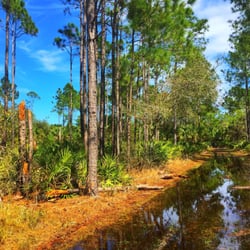 CREW Cypress Dome Trails - A little rainy but makes for great reelection shots.