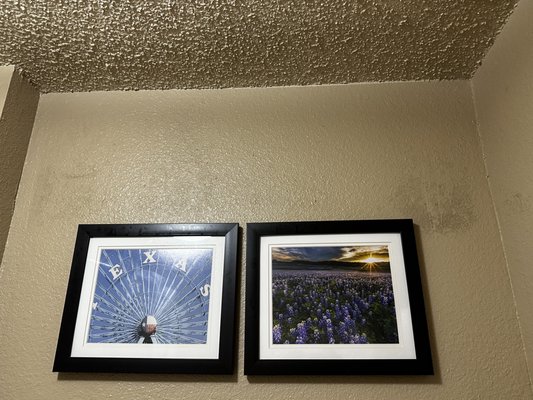 Comfort Suites Waco North-Near University Area