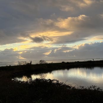Arcata Marsh Interpretive Center - Museums Near Me - Arcata, California