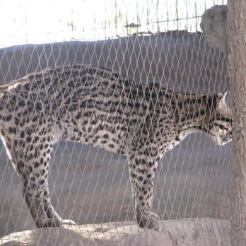 El Paso Zoo - Aquariums Near Me - El Paso, Texas El Paso Zoo - Aquariums Near Me - El Paso, Texas