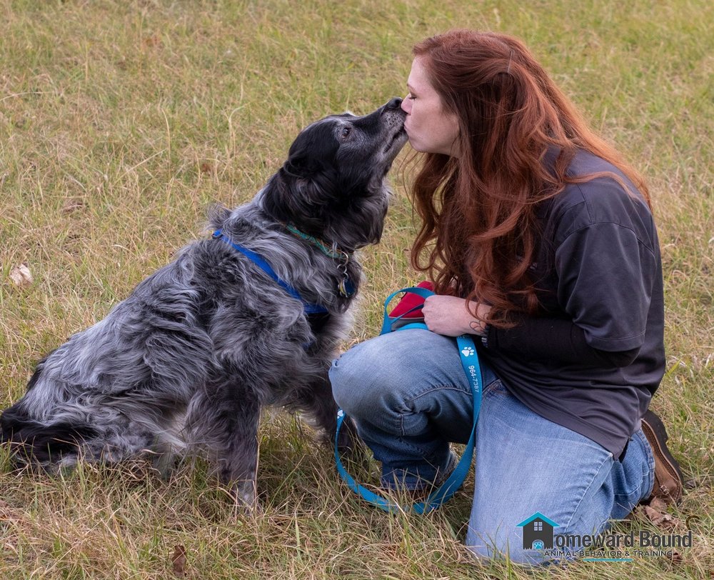 HOMEWARD BOUND ANIMAL BEHAVIOR &TRAINING Des Moines, Iowa Pet