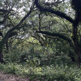 Tree Tops Park - Parks Near Me - Davie, Florida