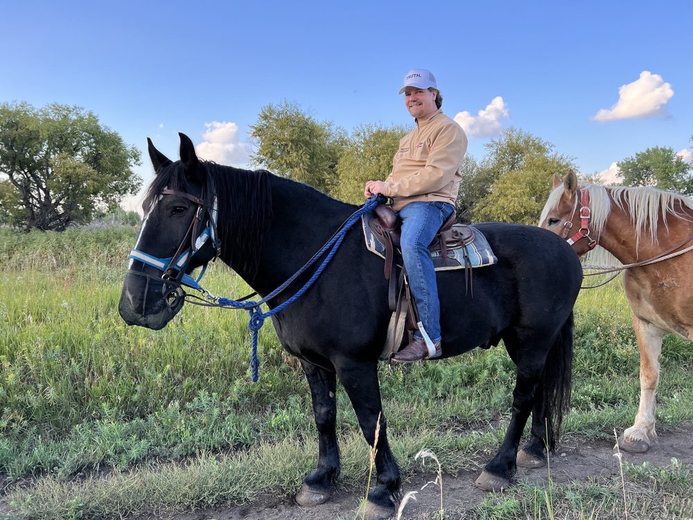 12 Mile Stables - equestrian in Aurora, CO