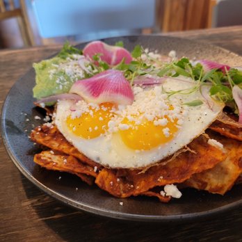 Lost Parrot Cafe - Breakfast & Brunch Near Me - South Pasadena, California Lost Parrot Cafe - Breakfast & Brunch Near Me - South Pasadena, California