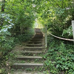 Behind the pool tonthe right of the grove of trees there's this little stairway that takes you all the way to the top of the park hill.