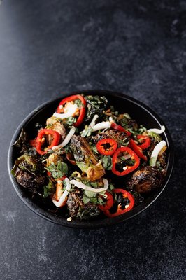 Rusty Pelican Tampa by null