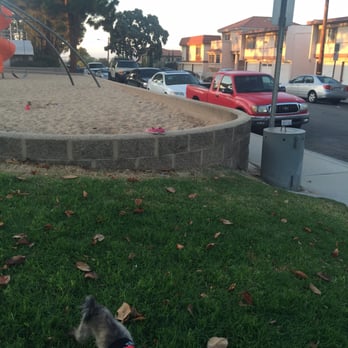 Hilltop Park & Pool - Pitter patter of baby feets - Parks Near Me - El Segundo, California