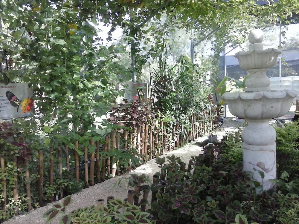 Bioparque Bepensa