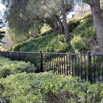 Steve's Iron - 8 foot iron fence in my backyard that was installed by Steve - Fences & Gates Near Me - San Clemente, California Steve's Iron - 8 foot iron fence in my backyard that was installed by Steve - Fences & Gates Near Me - San Clemente, California