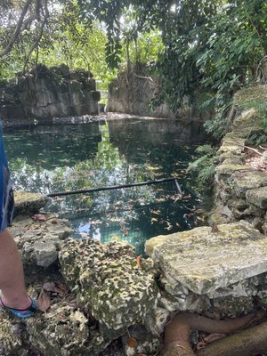 Everglades Outpost by null