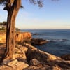 Electric Beach gift card