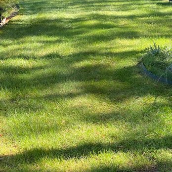 Custom Landscaping of Eagle River Inc - a backyard area - Landscaping Near Me - Eagle River, Wisconsin Custom Landscaping of Eagle River Inc - a backyard area - Landscaping Near Me - Eagle River, Wisconsin