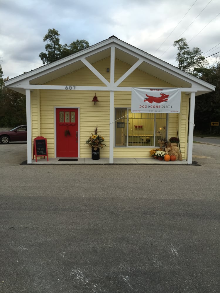 DOG GONE DIRTY PET SALON Updated June 2024 607 N Maumee, Tecumseh