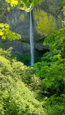 Latourell Falls by null