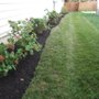 Photo of Reliable Lawn Care