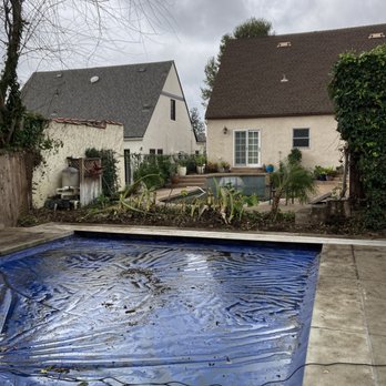 Flawless Tree Care - No more fence, no more Ivy - Tree Services Near Me