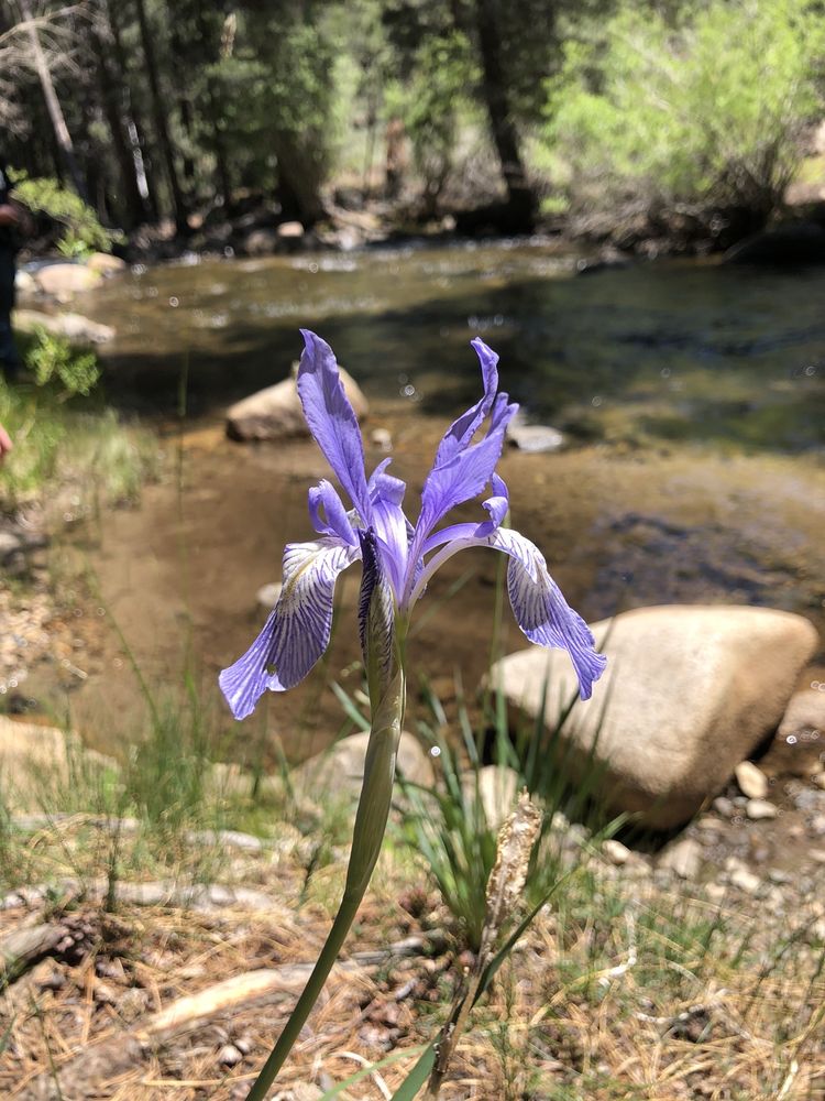 BRIDGEPORT VACATION TRAILER RENTALS Updated September 2024 91