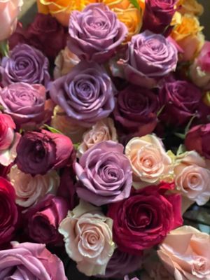 POTOMAC FLORAL WHOLESALE - Updated 05/2025 - 171 Photos & 98 Reviews