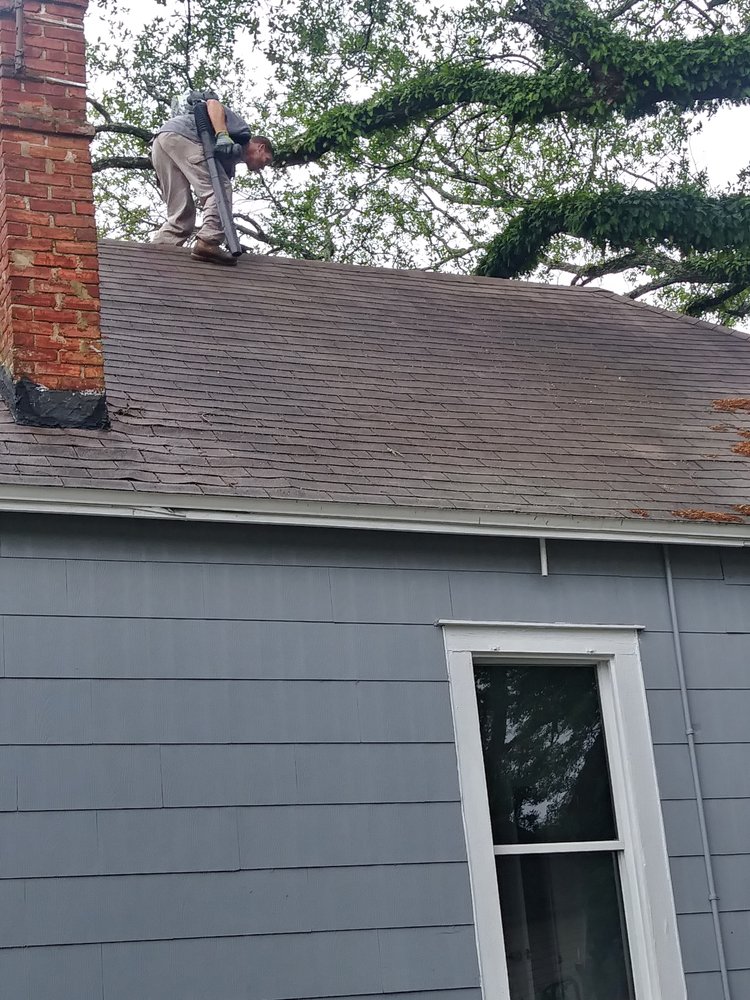 Dillon Tree Service - tree service in Jacksonville, FL