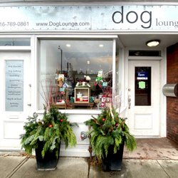 Dog Lounge - Dog lounge store front