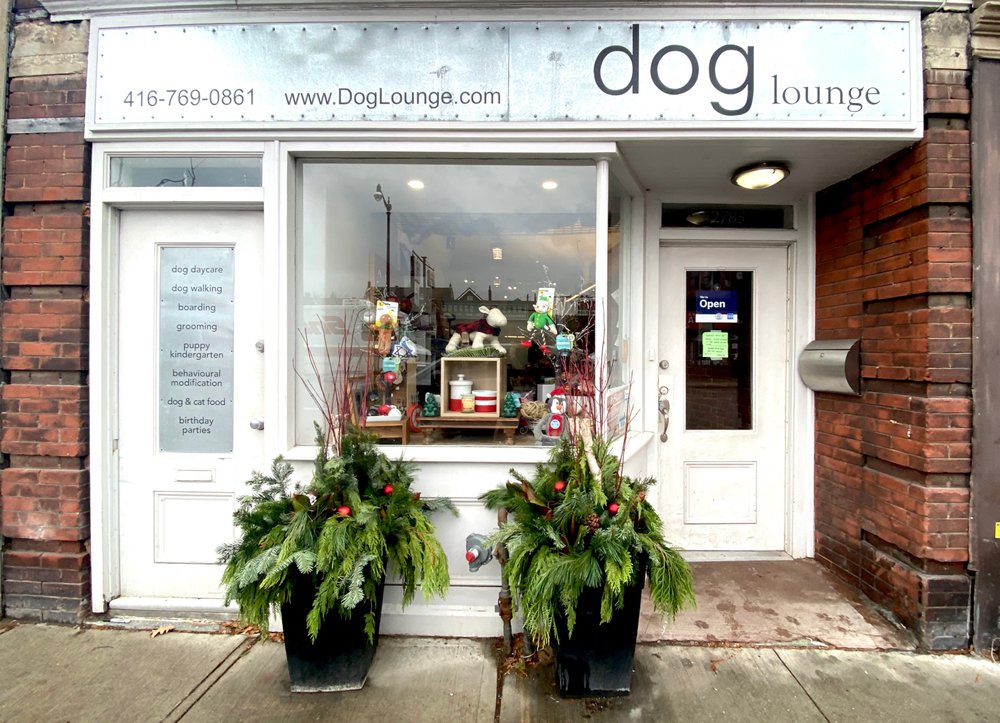 Dog Lounge Image