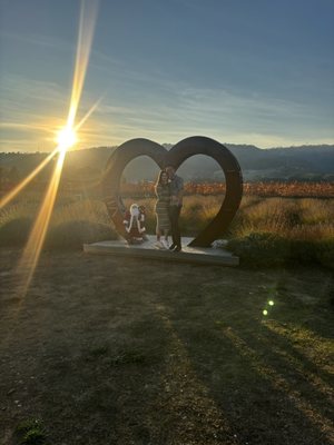 BackRoad Vines by null