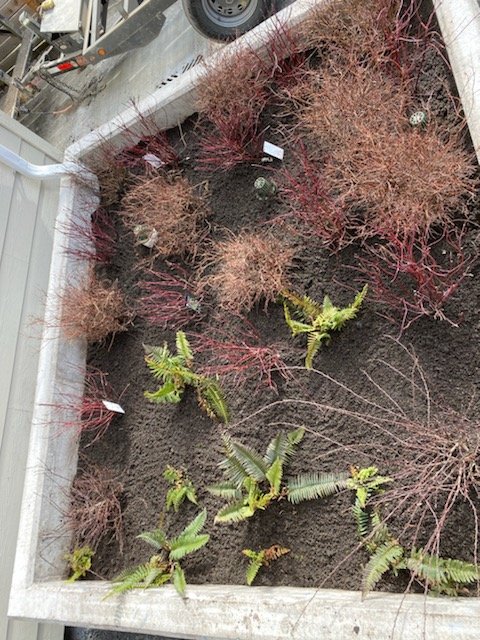 Slide of Jafco Plumbing and Sewer