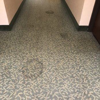 The Riverview Inn - Hall carpet - Hotels Near Me - Clarksville, Tennessee The Riverview Inn - Hall carpet - Hotels Near Me - Clarksville, Tennessee