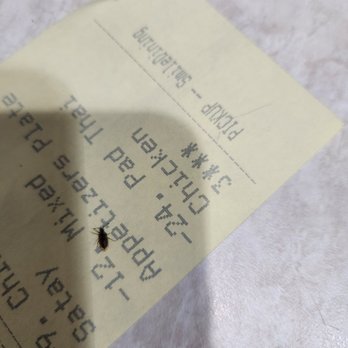 Thai Naan - This bug came out of my box of food last night. - Thai Near Me - Snohomish, Washington