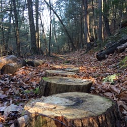 Oak Hill Conservation Site