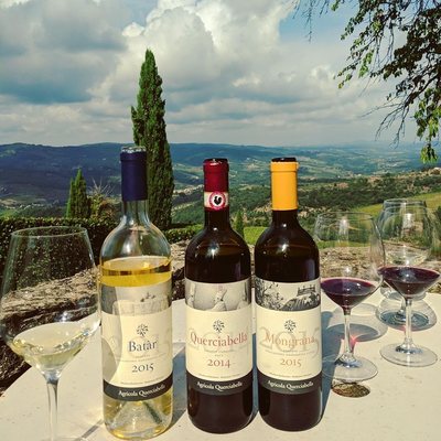 Querciabella · Società Agricola Querciabella SpA by null