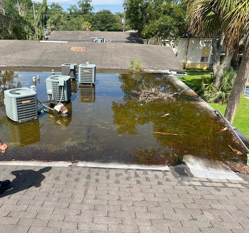 Slide of Fundora’s Brother’s