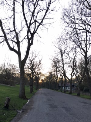 Heaton Park by null