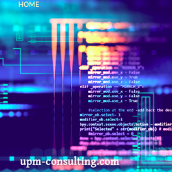 UPM Consulting