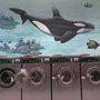 Photo of Superwash Laundromat & Dry Cleaning